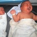 Самый толстый новорожденный в мире